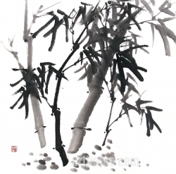 작품 49
