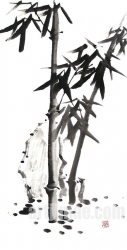 작품 54