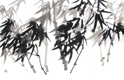 작품 67