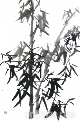 작품 75