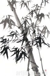 작품 76