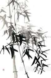 작품 78