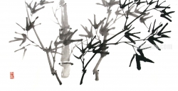 작품 79