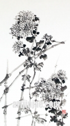 작품 50