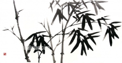 작품 14