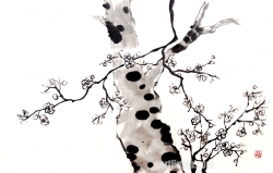 작품 11