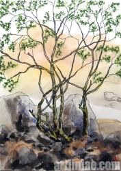 작품 6
